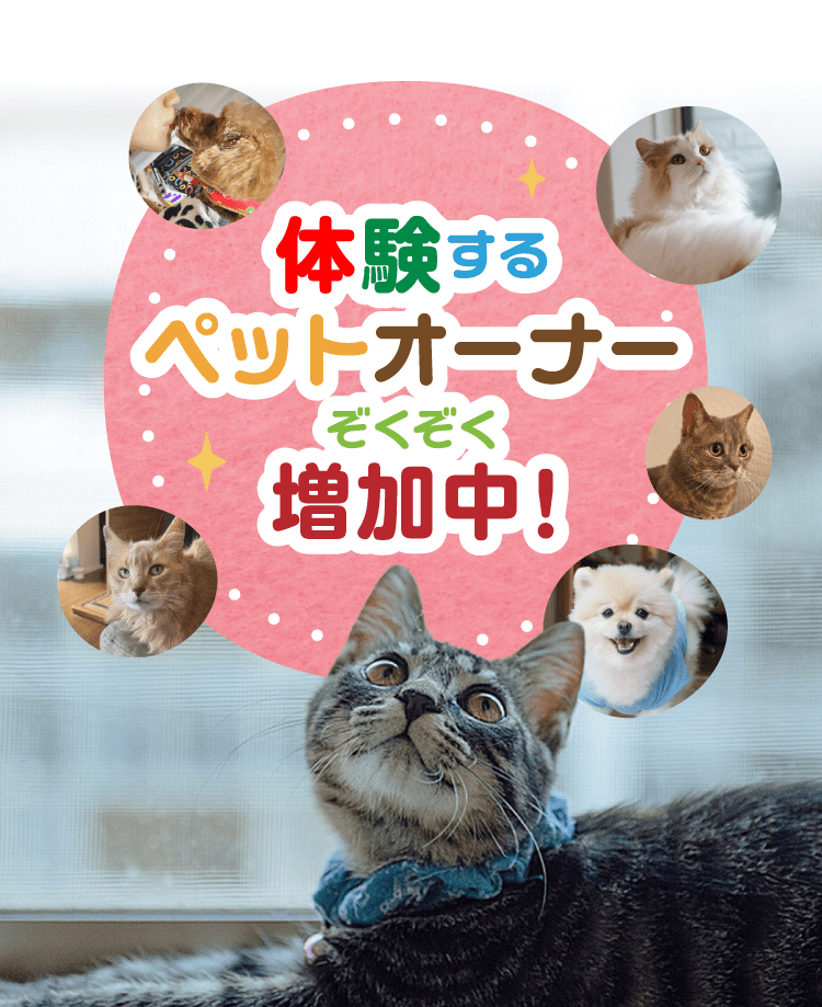 体験するペットオーナーぞくぞく増加中！